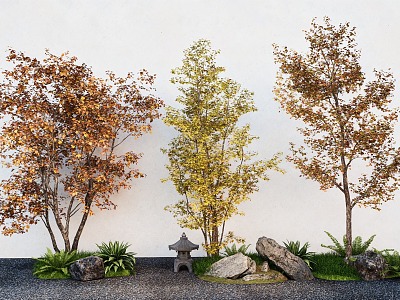 Landscape Tree Maple Garden Pine Tree Landscape Stone model