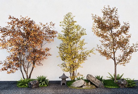 Landscape Tree Maple Garden Pine Tree Landscape Stone 3d model