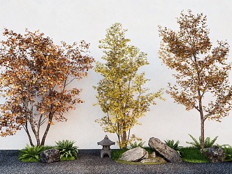 Landscape Tree Maple Garden Pine Tree Landscape Stone 3d model