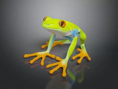 Green Reptile With Red Eyes And Yellow Toes On Smooth Surface With Reflection 3d model