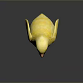 Cute Yellow Chick Standing on Reflective Surface with Orange Beak and Feet
