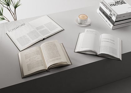 Modern books Open books 3d model