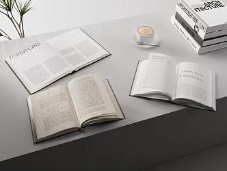 Modern books Open books 3d model