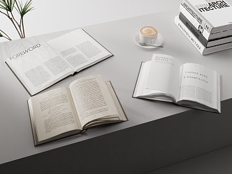 Modern books Open books 3d model