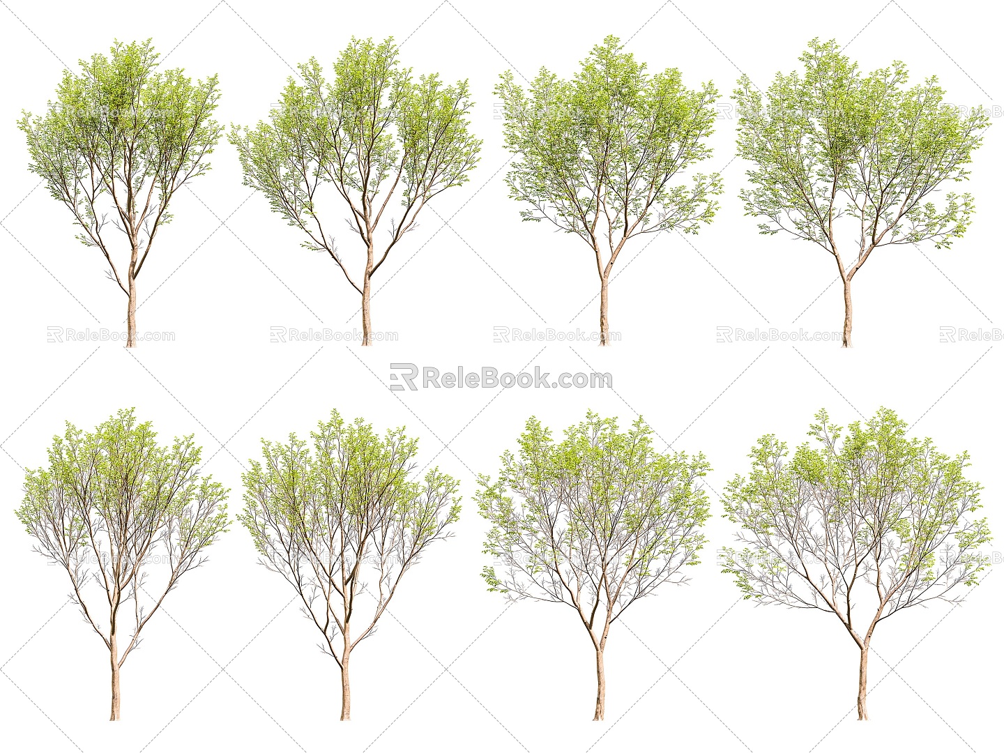 Rough Leaf Tree Landscape Tree 3d model