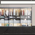 Elegant Modern Walk in Closet Interior With Glass Door Wardrobes Hanging Clothes And Storage Drawers