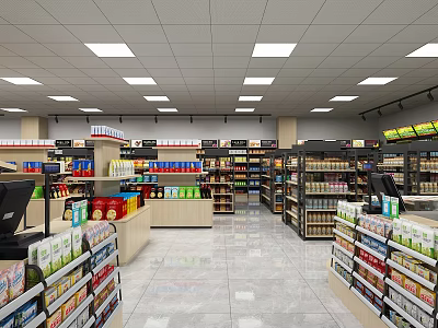 Bright Supermarket Interior With Neatly Arranged Shelves Stocked Full Of Grocery And Household Products 3d model