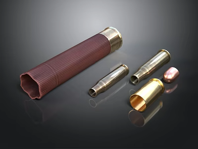 Detailed View Of Weapon Ammunition Components With Brass Cartridge Cases And Bullets 3d model