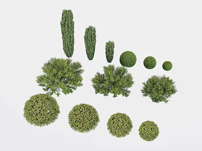 Different Types of Shrubs Featuring Round Conical and Bushy Green Shapes 3d model