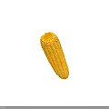 Organic Fresh Yellow Ripe Corn Cob Isolated On White Background
