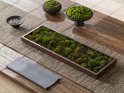 Green Moss Arrangement In Rectangular Container And Round Bowls On Wooden Table 3d model