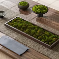 Green Moss Arrangement In Rectangular Container And Round Bowls On Wooden Table