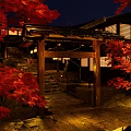 Detached Villa at Night With Red Maple Leaves Wooden Torii Gate Stone Steps and Illumination