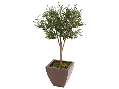 green plant potted tree model