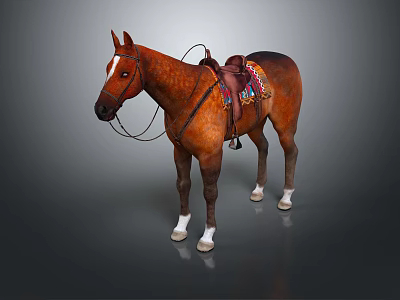 Brown Horse With Colorful Saddle Blanket And Leather Bridle Standing On Dark Background 3d model