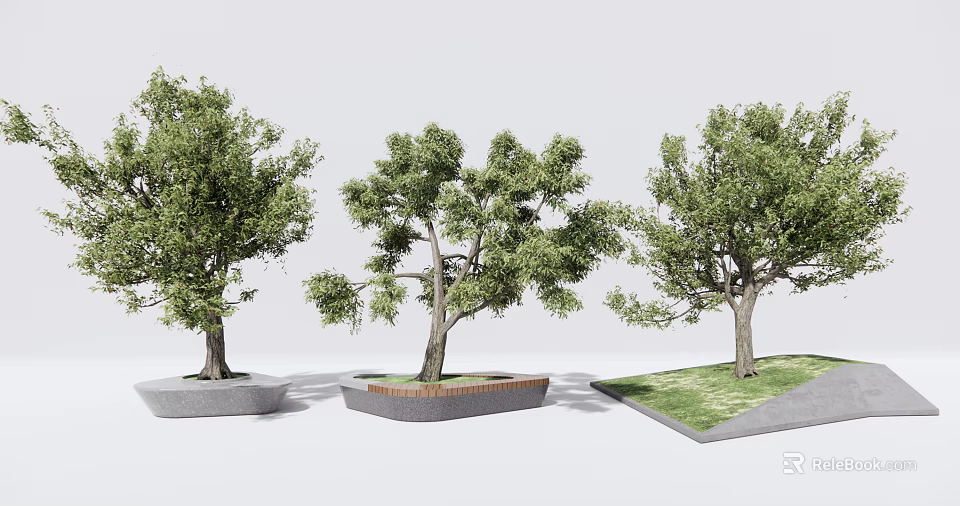 Tree Planters With Varied Designs And Lush Trees In Urban Landscaping 3d model 