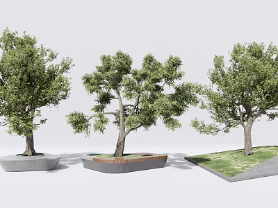 Tree Planters With Varied Designs And Lush Trees In Urban Landscaping 3d model
