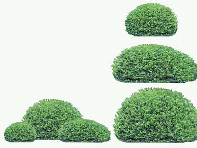 Healthy Green Trimmed Bushes With Various Sizes And Round Shapes 3d model