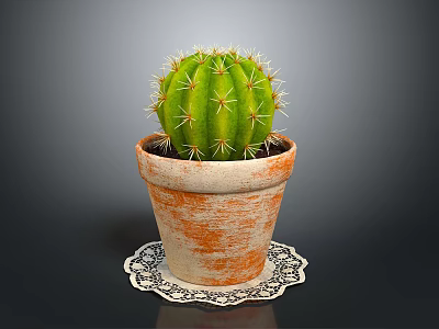 Natural Green Cactus Plant in Rustic Terracotta Pot on Patterned Doily Mat 3d model