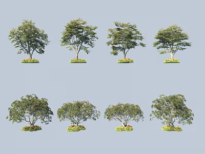 Various Arbor Trees With Different Shapes Green Foliage And Grass At Base 3d model