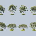 Various Arbor Trees With Different Shapes Green Foliage And Grass At Base 3d model