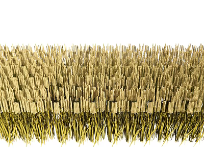 Golden Wheat Plants In Field With Green Grass And Tall Stalks 3d model