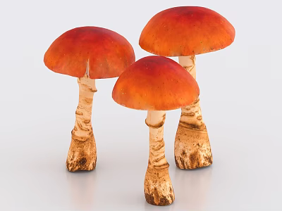 Fresh Red Orange Mushrooms With White Striped Stems And Brown Roots On Light Background 3d model