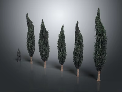 Tall Cypress Trees with Green Foliage and Brown Trunks Arranged in Row 3d model