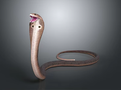 Reptile Cobra Detailed View with Open Mouth and Coiled Scaled Body 3d model