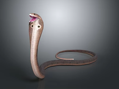 Reptile Cobra Detailed View with Open Mouth and Coiled Scaled Body 3d model Reptile Cobra Detailed View with Open Mouth and Coiled Scaled Body 3d model