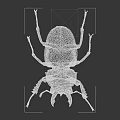 Black Reptile With Large Jaws And Spiny Legs Isolated On White Background