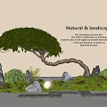 Serene Indoor Natural Landscape With Curved Tree Mountain Stones Green Moss And Stone Path