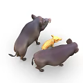 Three Wild Boars Adult Dark And Baby Yellow Striped Standing Together On White Background
