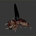 Alien Insects Sci-Fi Insects Magic Insects Strange Insects Fantasy Insects Insect Characters Game Characters 3d model