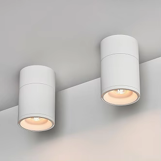 Modern Downlight Spotlight CENTRSVET 3d model