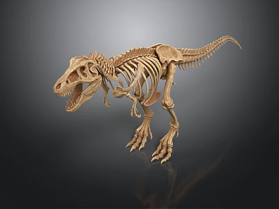 Complete Dinosaur Skeleton with Detailed Bone Structure on Black Background 3d model