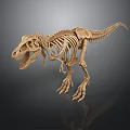Complete Dinosaur Skeleton with Detailed Bone Structure on Black Background