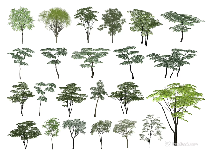 Diverse Collection of Arbor Trees With Various Foliage Shapes and Sizes 3d model 