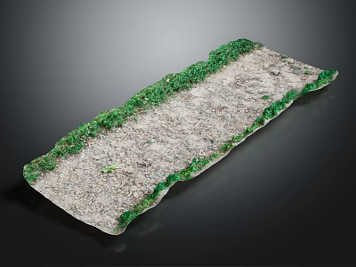 Long Natural Strip Surface With Green Mossy Edges And Textured Stone Center 3d model