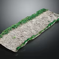 Long Natural Strip Surface With Green Mossy Edges And Textured Stone Center