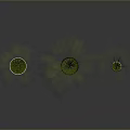Potted Plants with Different Sizes and Colors on Black Floor Against Gray Background Showing Reflection