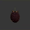 Fresh Dark Purple Raspberries With Green Leaves And Yellow Thorns On Dark Background