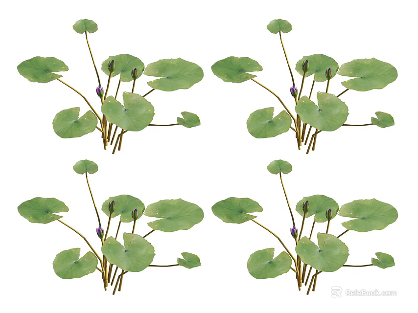 Aquatic Plants With Fresh Green Leaves And Purple Buds In Natural Growth 3d model 