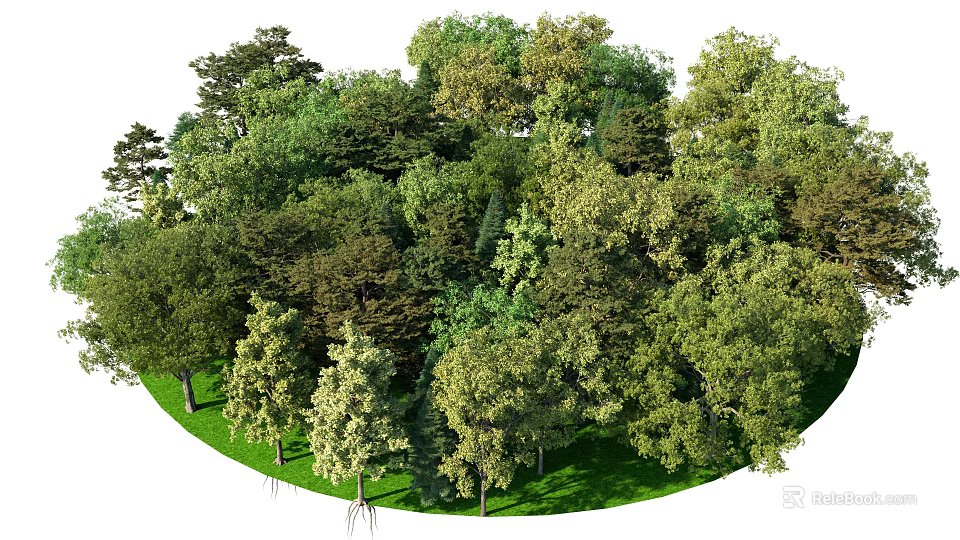 Lush Green Arbor Trees In Natural Forest Landscape With Various Species And Foliage 3d model 