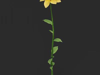 Single Yellow Flower With Green Stem And Leaves On Black Background 3d model