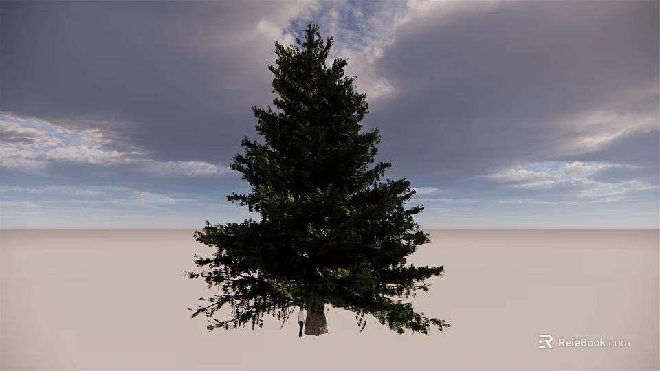 Tall Evergreen Arbor with Dense Foliage Against Cloudy Sky on Open Light Ground 3d model 