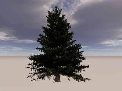 Tall Evergreen Arbor with Dense Foliage Against Cloudy Sky on Open Light Ground 3d model