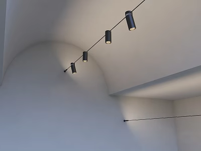 Black Downlights Spotlights Installed On Arched White Ceiling Four In A Line Lighting The Wall 3d model
