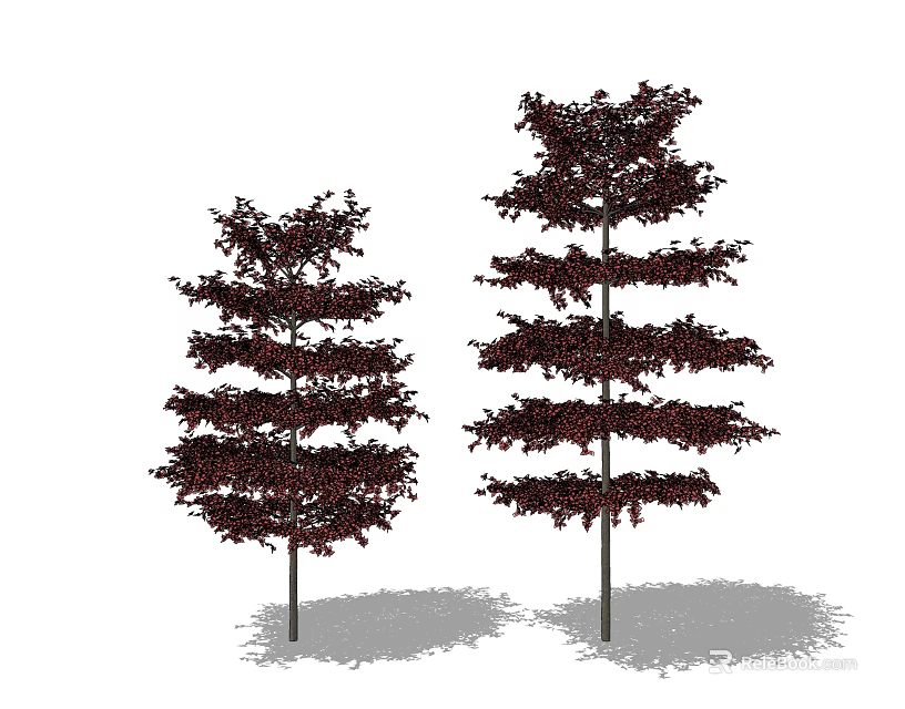 Two Arbor Trees With Dark Red Foliage Slender Trunks And Layered Crown 3d model