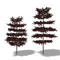 Two Arbor Trees With Dark Red Foliage Slender Trunks And Layered Crown 3d model